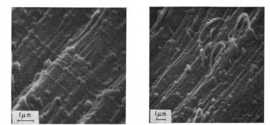 Fig.  4.  a  (left)  Stress-induced  glide  of basal dislocations revealed by  the etch tracks on  {IIPO)  surface parallel  to  (0001)  plane