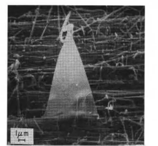Fig.  5.  Tape-like features  in preuiously  deformed ice. 