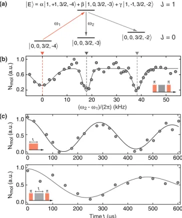 FIG. 3. Coherent transfer and collisional lifetime of chemically stable 23 Na 40 K molecules in the J ¼ 1 state
