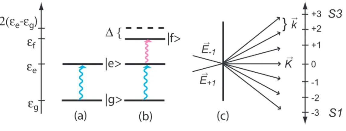 Figure 4-1: Energy level diagram for the (a) two- and (b) three-level systems treated by the optical Bloch equations, which are solved by a (c) spatial Fourier expansion of the incident electromagnetic fields and density matrix elements.