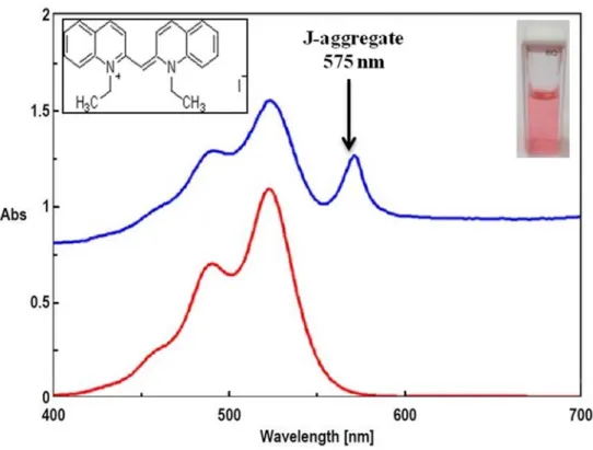 Figure  1.  Absorption  spectra  of  0.02  mM  1,1’-diethyl-2,2’  cyanine  iodide  (PIC)  in  phosphate  buffer,    pH  =  6  (red  curve)