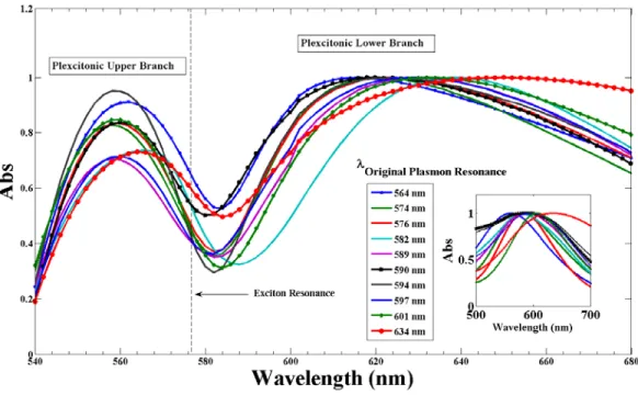 Figure 3. Absorption spectra of silver nanoplatelet/PIC solutions.  Each curve represents spectra  of Ag platelet/PIC solutions in which 2 mL of a given silver nanoplatelet solution were mixed  with  60  µL  0.5  mM  PIC