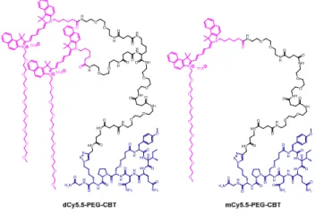 Fig.  2.  Structures  of  the  conjugates  of  the  NIR  fluorogenic  dimer  and  the  corresponding monomer with the carbetocin ligand