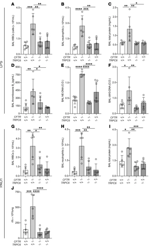 Figure 6. Lung injury measurements in CFTR  and TRPC6 mutant mice after intratracheal  LPS or PAO1
