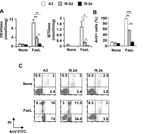 Figure 2. Impairment of FasL-induced caspase activation and apoptosis in caspase-8 and -10-doubly deficient Jurkat cells