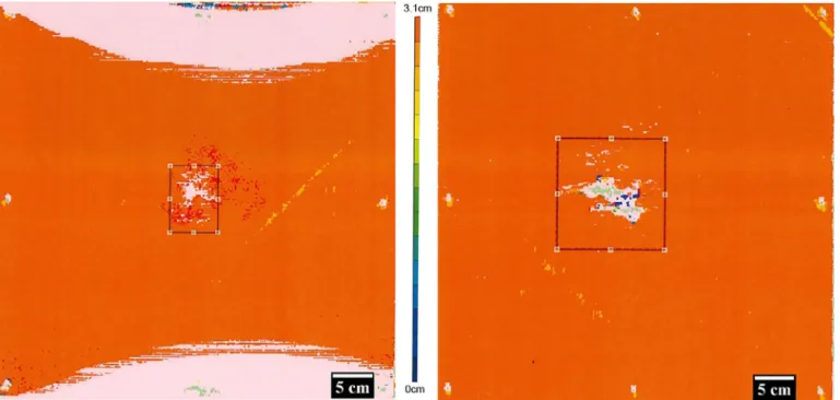 Figure 10. On the left, C-scan mapping of a CFRP protected by ECF73 and on the right, AgSWs coating
