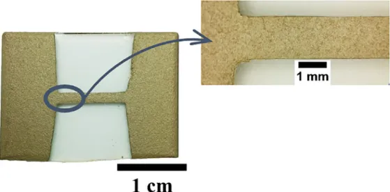 Figure 1. The dumbbell shape sample. [Color ﬁgure can be viewed at wileyonlinelibrary.com]