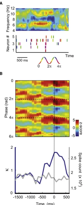 Figure 6. Formation of Cell Assemblies during High Theta Coherence Periods