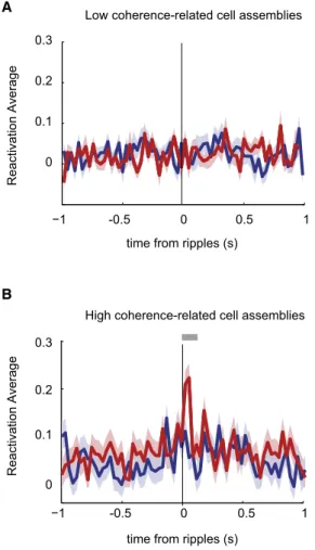 Figure 8. Reactivation of CRCA during Hippocampal Sharp Wave/