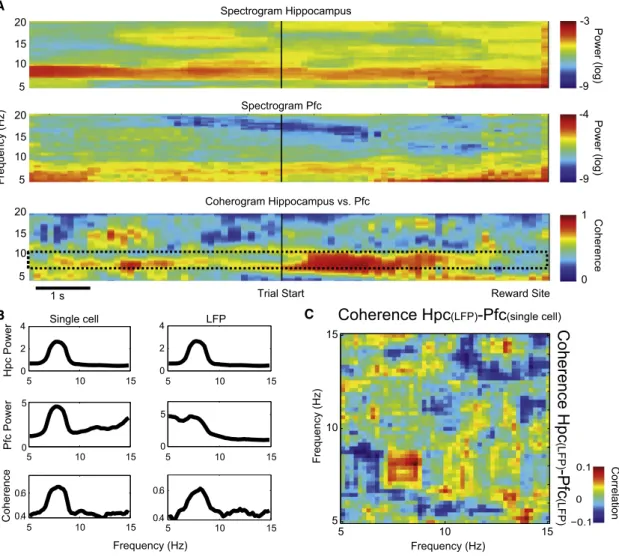 Figure 1. Characterization of Hpc-Pfc Theta Coherence