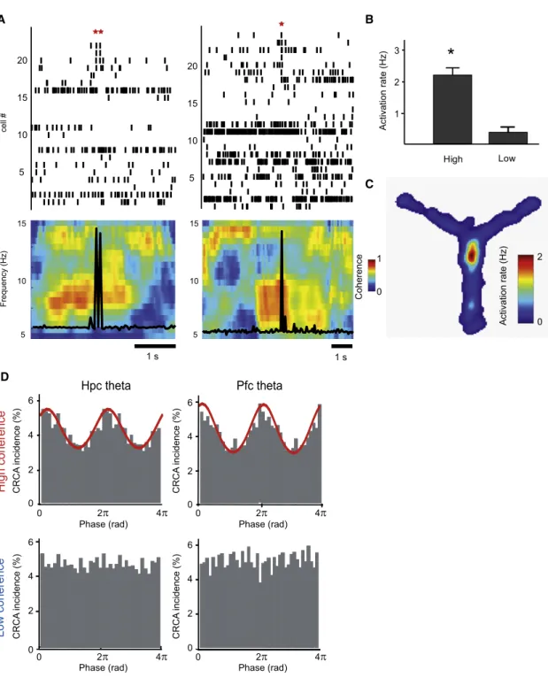 Figure 4. Identification of Theta Coherence-Related Cell Assemblies (CRCA)