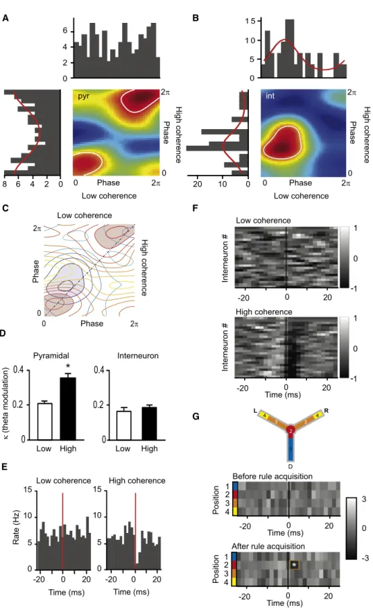 Figure 5. Pfc Interneurons and the Formation of Cell Assemblies