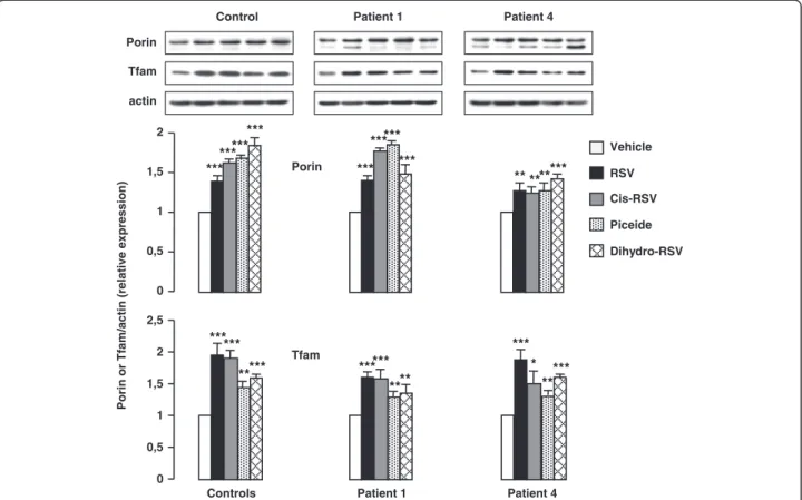 Figure 9 Effects of natural stilbene compounds and RSV metabolites on porin and Tfam protein levels in control and patient fibroblasts.