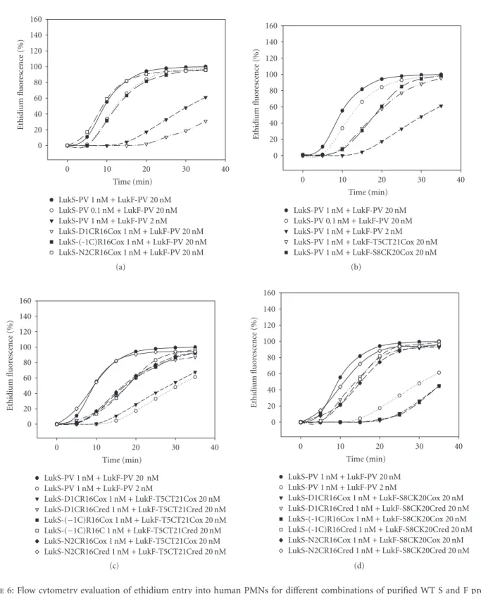 Figure 6: Flow cytometry evaluation of ethidium entry into human PMNs for diﬀerent combinations of purified WT S and F proteins and their oxidized or reduced double mutants