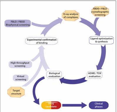 Figure 1. The drug design cycle. Steps in dashed boxes are not mandatory in the early stage of drug  development.  Contributions  of  X‐ray  crystallography  are  indicated  with  schematic  crystals. 