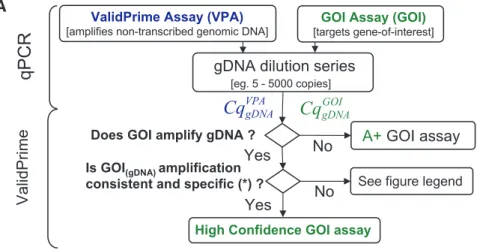 Figure 5. ValidPrime ﬂowchart. ValidPrime GOI assay validation. ValidPrime can be used as a reliable, cost-efﬁcient alternative to RT() controls to survey gDNA background in RT–qPCR, and as a tool to determine the RNA-derived signal (Cq RNA ) in RT(+)–qPCR