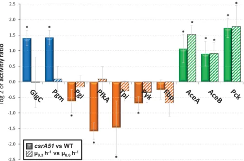 Fig. 3. Comparison of enzymatic levels in the CCM between the wild type and the csrA51 strains or at different growth rates