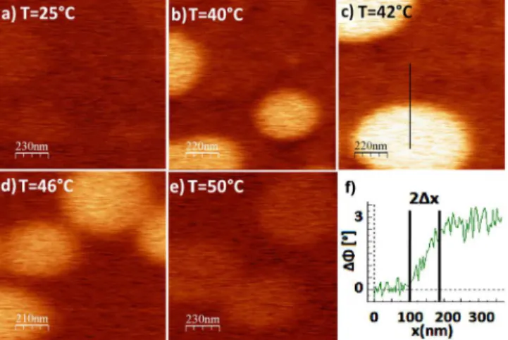 FIG. 3. 共Color online兲 Image of the phase shift recorded at 50 Hz on a PS/PVAc film for various temperatures