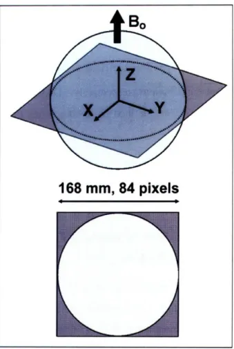Figure  2-1.  Schematic  diagram  of the  image  plane  and  the  FOV  used  to calculate  ultimate  intrinsic  SNR  for the  spherical  phantom