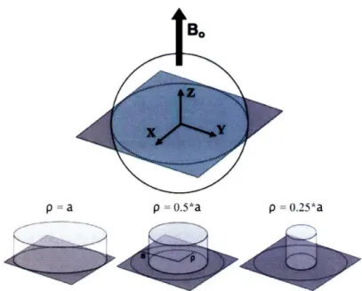 Figure  3-1.  Schematic  representation  of the  sample  geometry,  the  FOV  and the  shape  of the  target  excitation  profiles