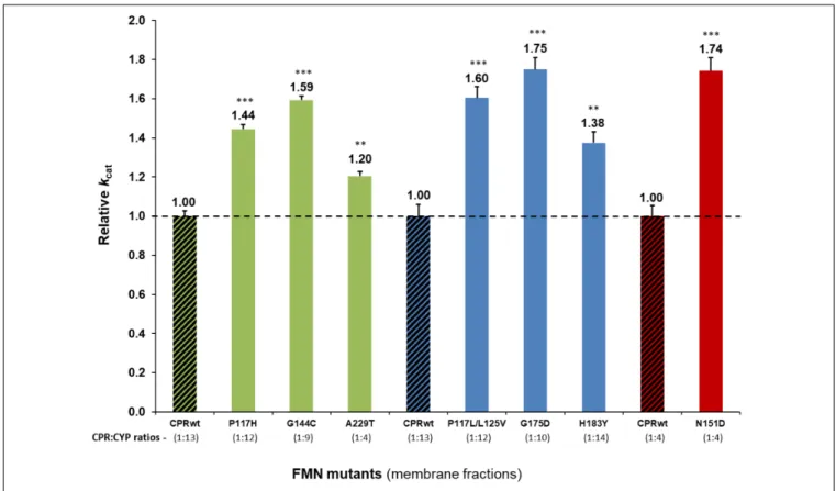 FIGURE 1 | Relative turnover rates (k cat ) (x fold) of the seven CPR-FMN mutants candidates supporting increased CYP activities, normalized by the k cat