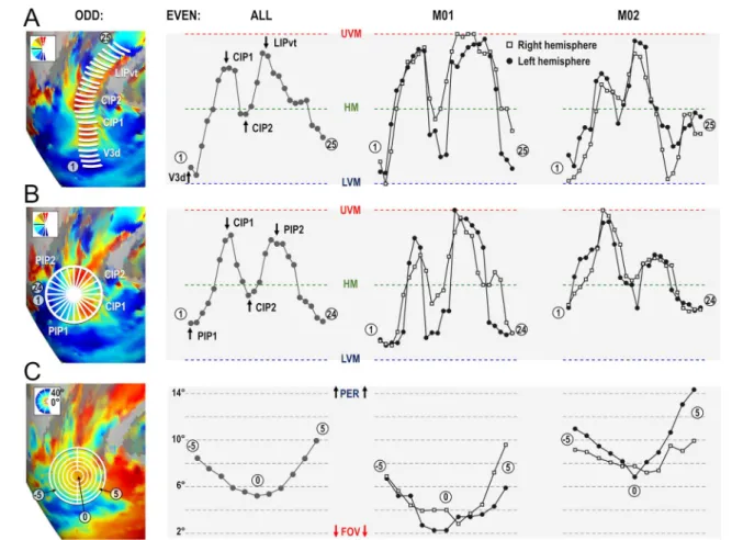 Fig. 5    Polar angle and eccentricity profiles of areas of the PIP cluster. 