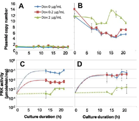 Figure 3. Time dependence of relative plasmid copy number as function of Dox concentration in culture 373 