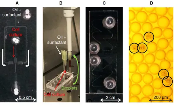 Figure S1. Microfluidic system for cell encapsulation in droplets and observation of growth