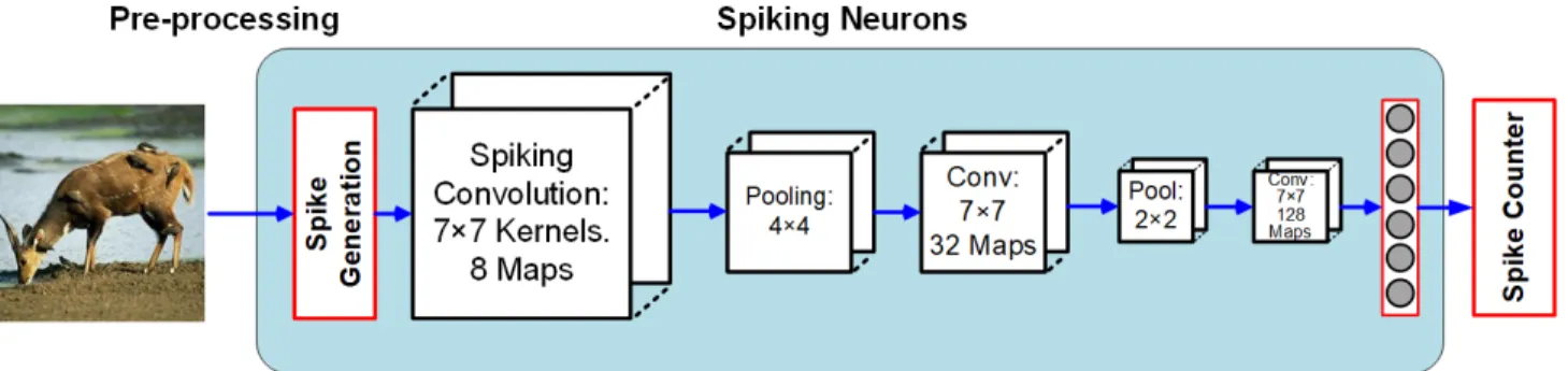 Fig. 6: Spiking CNN architecture developed by Cao et. al. [183]. The input image, after pre-processing, is converted to spike trains based on the pixel intensity