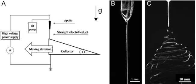 Figure 1-6: Electrospinning of fibers. (A) Schematic diagram of the experimental setup that is typically employed to study patterns formed in electrospinning