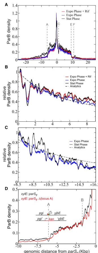 Figure 5. Robust dips and peaks signatures in ParB DNA binding profiles.