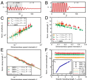 Fig. 4. Quantification of the sinusoidal meandering regime. (A and B) Simu- Simu-lated traces of the meandering patterns for (A) e = 0 : 04 and (B) e= 0 : 38