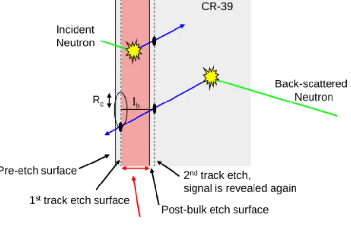 Figure 7: Illustration of two types of neutron interaction in the CR-39. Neutron scattered protons in between the pre and post-bulk- post-bulk-etch  surfaces  will  only  produce  a  recoil  track  on  the  one  of  the  post-bulk-etched  surfaces,  while 