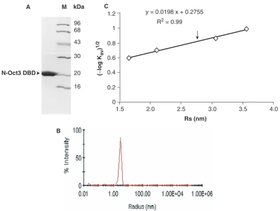 Figure 1. Characterization of the N-Oct-3 POU domain. (A) Detection of a single band with the expected N-Oct-3 DBD molecular mass by Coomassie-blue staining in 13% SDS-PAGE (see the molecular mass markers on the right)