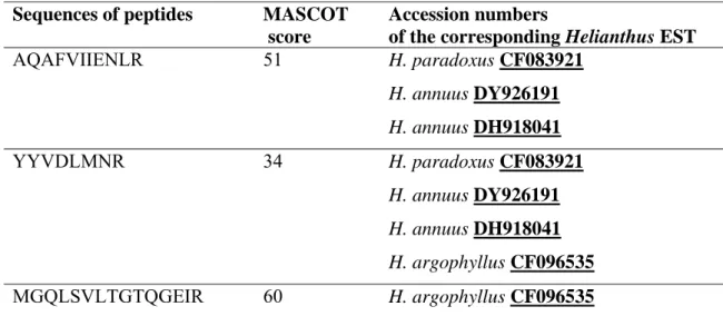 Table 2. Sequences of the 3 peptides obtained through LC-MS/MS and showing  identity to amino acid sequences of Helianthus peroxidases