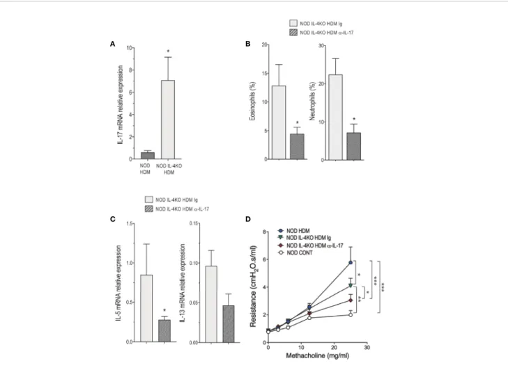 FIGURE 4 | IL-4 and IL-17 are required for the development of airway in ﬂ ammation in non-obese diabetic (NOD) mice