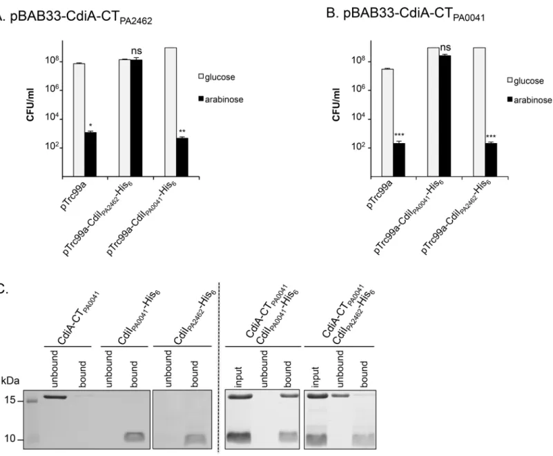 Fig 6. Intracellular toxicity of CdiA-CT PA2462 and CdiA-CT PA0041 in E. coli cells and protection by their cognate CdiI immunity proteins
