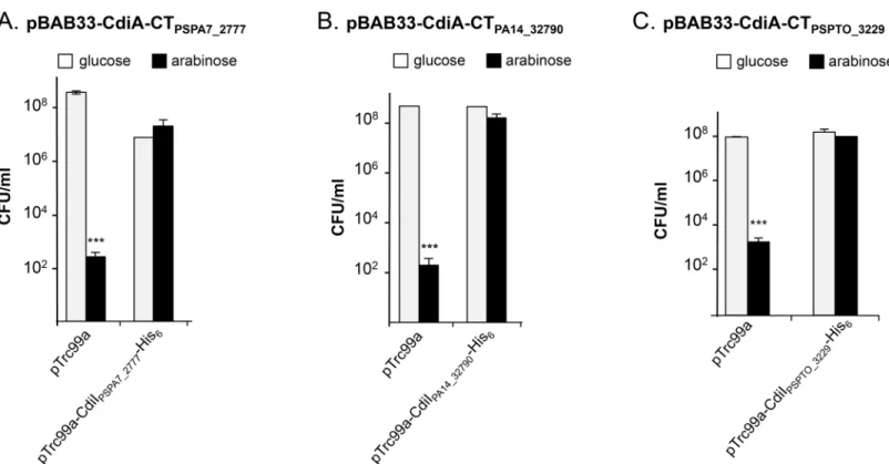 Fig 8. CdiA-CT encoded by P. aeruginosa PA7, PA14 and P. syringae pv. tomato DC3000 inhibit E