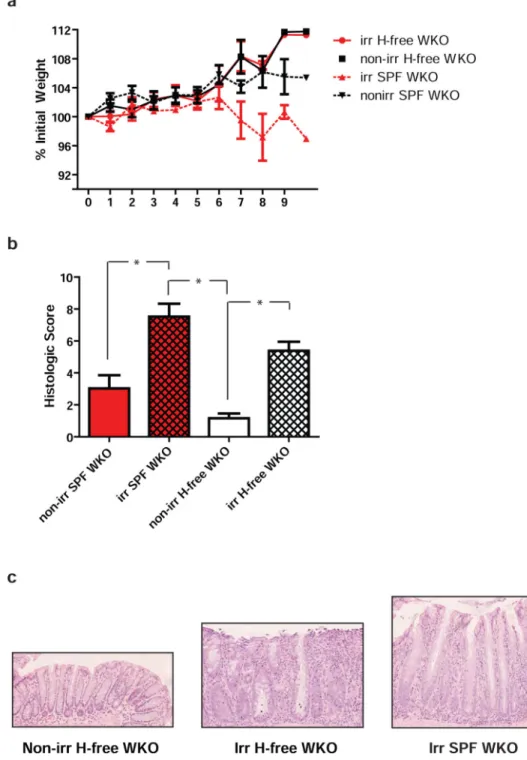 Figure 3. Radiation-induced colitis in WKO mice is not dependent on the presence of Helicobacter spp