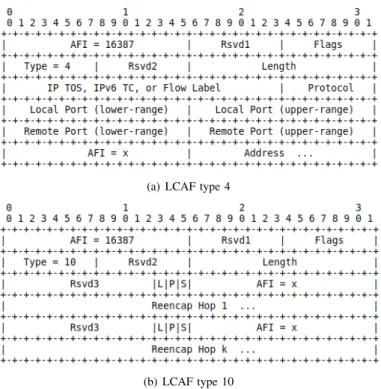 Fig. 2: Two LISP Canonical Address Format (LCAF) control-plane header types.