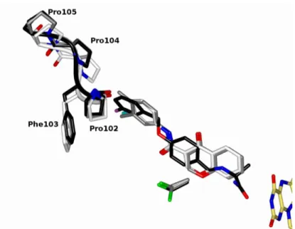 Figure  4.  Structural  superposition  between  structures  of  human  MAO-B  in  complex  with  inhibitor  1, 