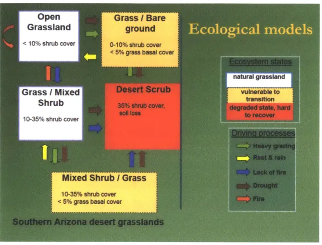 Figure  7: A  simple state-and-transition  model  of desert grasslands  in  Southern Arizona  (from Simms  et al