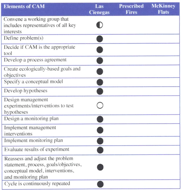 Table  3:  Key elements  of CAM.  00 0=  element  is consistently  present,  = element  is