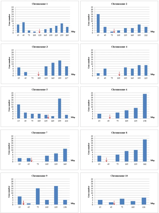 Figure 3 - Cell wall related genes distribution along maize chromosomes in 30 Mbp interval length (centromer positions are  indicated by vertical arrows).