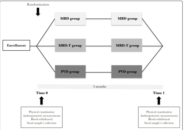 Fig. 2 Organization of the intervention study