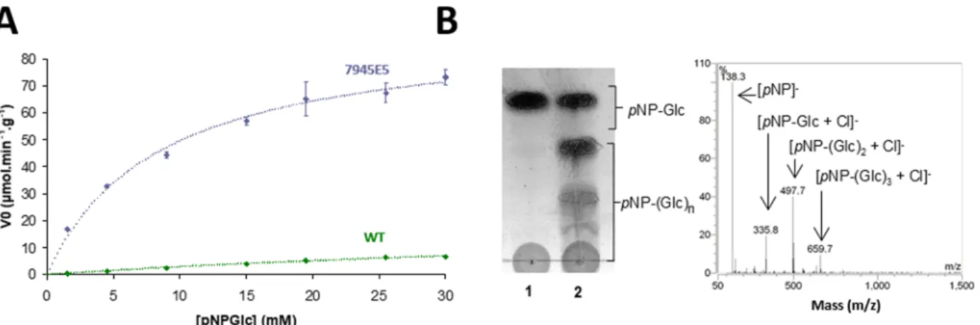 Table 2. Kinetic Parameters toward p NP-Glc and T m Values of 7945E5 and Np AS Enzymes