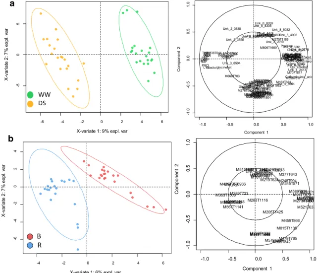 Fig. 4    PLS-DA of metabolic data sets of sunflower leaf on variables  selected from the set of 588 metabolic variables (Online Resource  7) after a selection process based on sPLS or LASSO