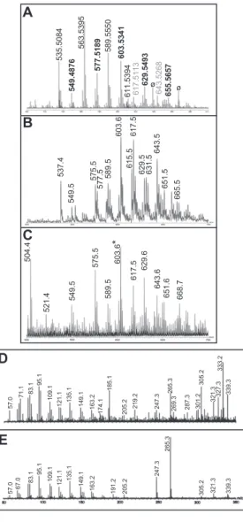 Fig. S2. Characterization of the endogenous UL ligand of shCD1b. ( A ) Zoomed m/z 500 – 700 region of positive-ion mode ESI Fourier transform ion cyclotron resonance MS mass spectra recorded on a petroleum ether (PE) extract obtained from proteinase K-trea