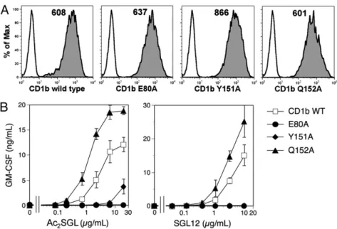 Fig. 3. Mutation of amino acids that change con- con-formation upon antigen binding affects antigen  pre-sentation