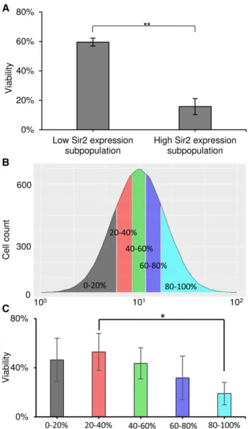 Figure 4 Noise in the expression of SIR2 can generate cell-to-cell heterogeneity in viability., A) Viability in the different subpopulations used to measure frequencies of URA3 expression in the UCC2210 strain (the 2% of cells with the lowest and highest S